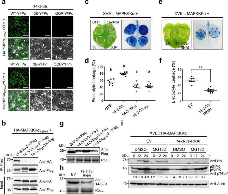 https://cdn.ncbi.nlm.nih.gov/pmc/blobs/d1aa/8821596/60bf0837774f/41467_2022_28395_Fig4_HTML.jpg