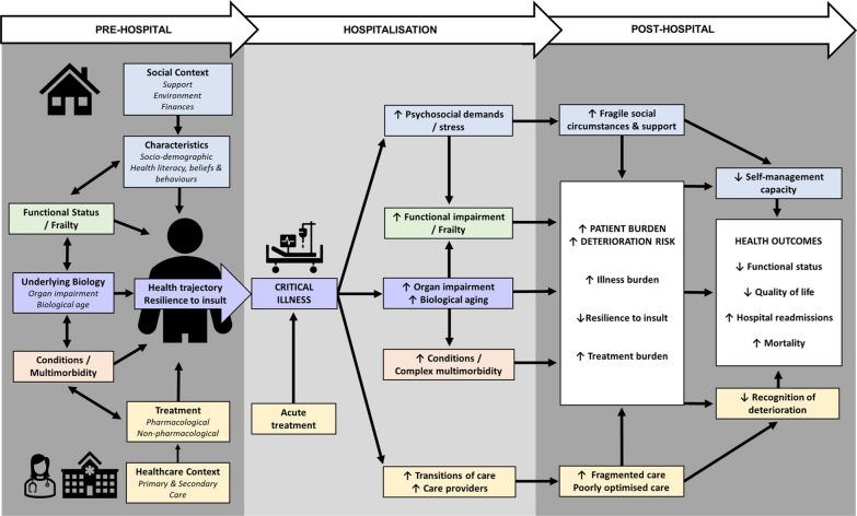 https://cdn.ncbi.nlm.nih.gov/pmc/blobs/d1ab/10709866/17d7938c2cca/13054_2023_4770_Fig2_HTML.jpg