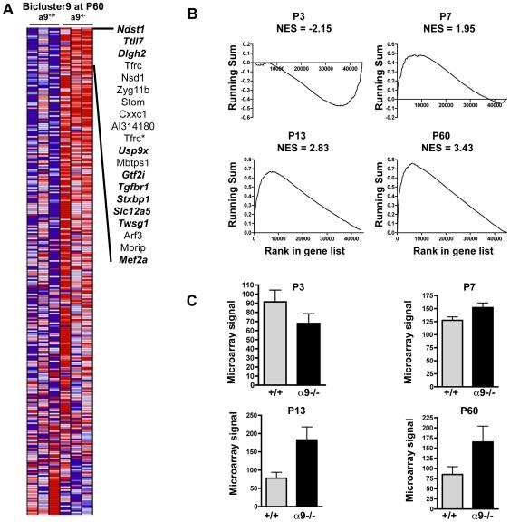 https://cdn.ncbi.nlm.nih.gov/pmc/blobs/d1ad/2816210/a50ab1aa714b/pone.0009058.g006.jpg