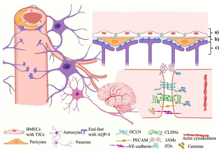 https://cdn.ncbi.nlm.nih.gov/pmc/blobs/d1ae/10381592/697b5036b870/marinedrugs-21-00406-g001.jpg