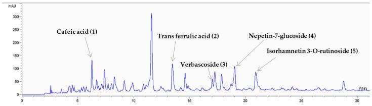 https://cdn.ncbi.nlm.nih.gov/pmc/blobs/d1ae/10609942/0c7469148b85/pharmaceutics-15-02496-g001.jpg