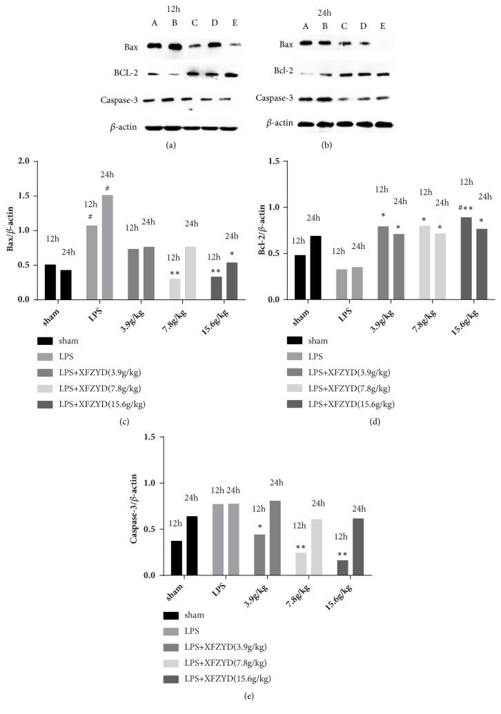 https://cdn.ncbi.nlm.nih.gov/pmc/blobs/d1af/6151246/992ce77b95f3/ECAM2018-2939307.006.jpg
