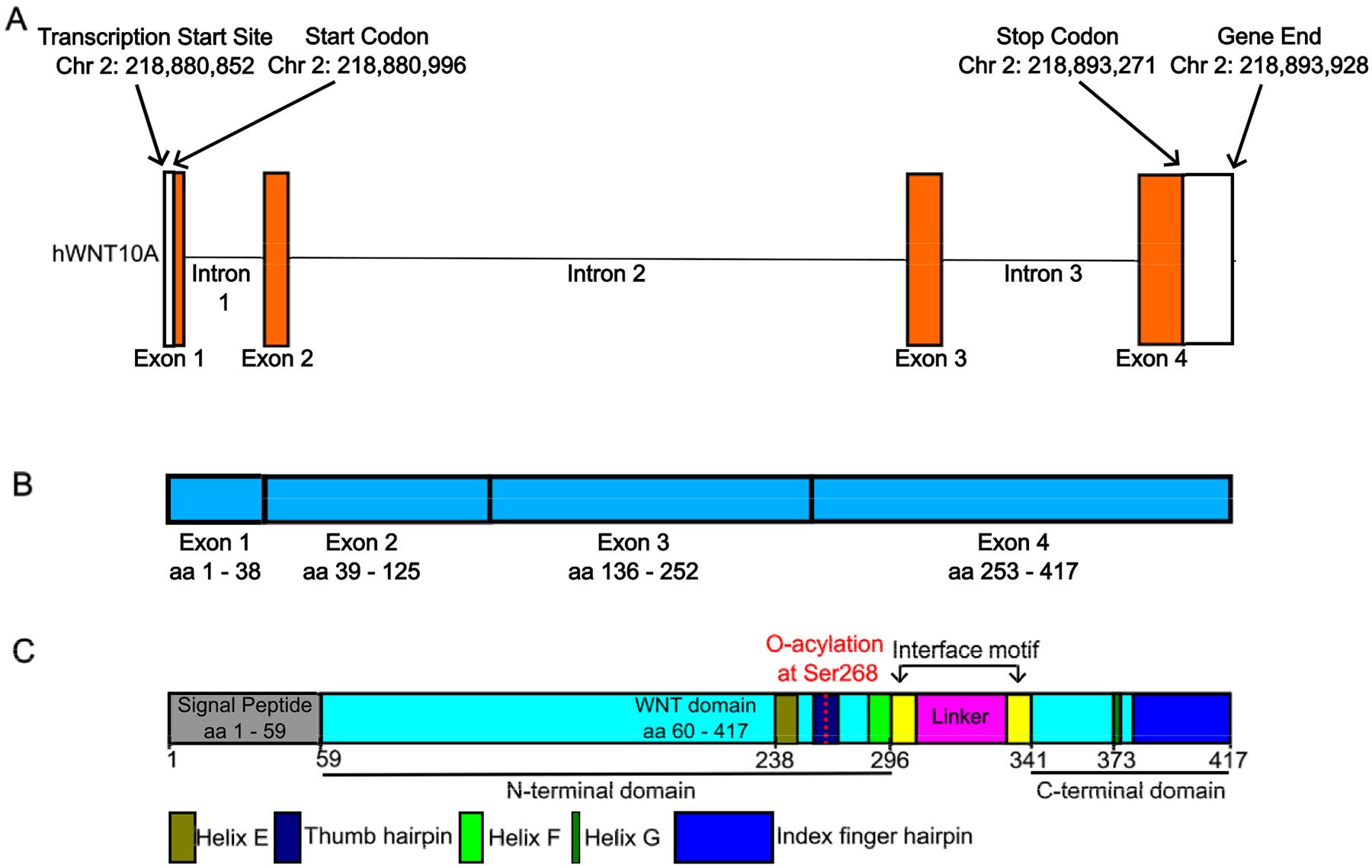 https://cdn.ncbi.nlm.nih.gov/pmc/blobs/d1b4/11968203/67cfcb17639e/nihms-2069398-f0001.jpg