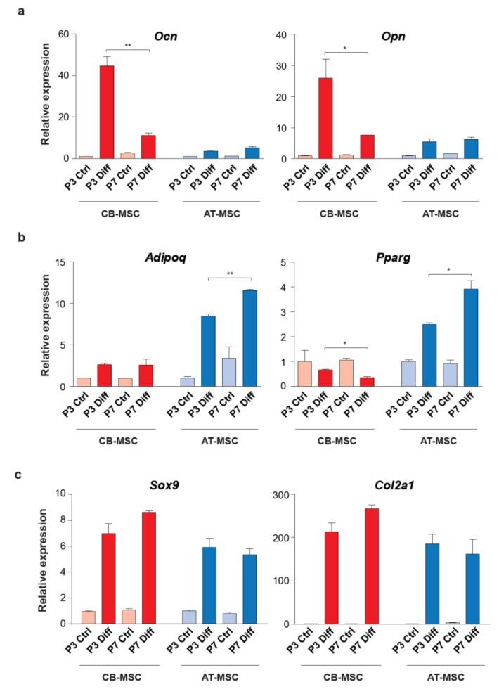 https://cdn.ncbi.nlm.nih.gov/pmc/blobs/d1b4/7140683/e09debf15e36/cells-09-00756-g005.jpg