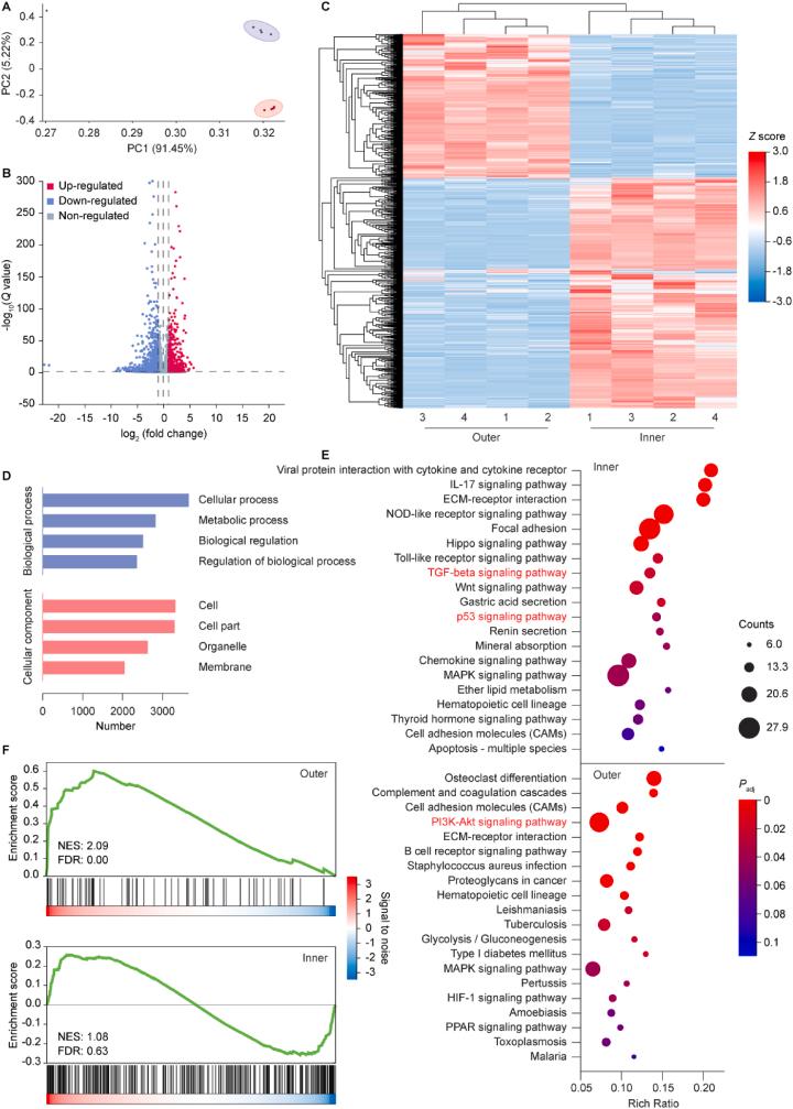 https://cdn.ncbi.nlm.nih.gov/pmc/blobs/d1ba/10944202/cac210759eb4/gr8.jpg