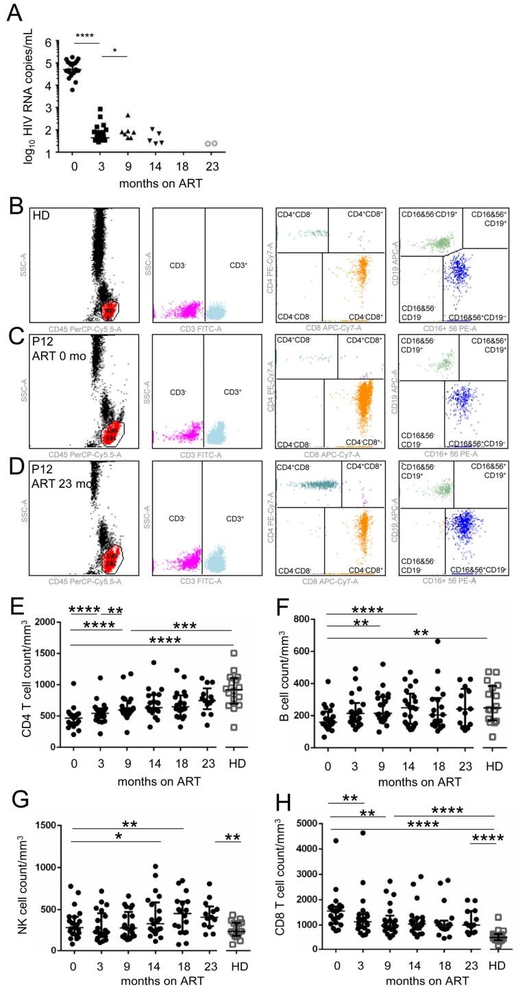 https://cdn.ncbi.nlm.nih.gov/pmc/blobs/d1bb/5923448/b123c1d402e8/viruses-10-00154-g001.jpg