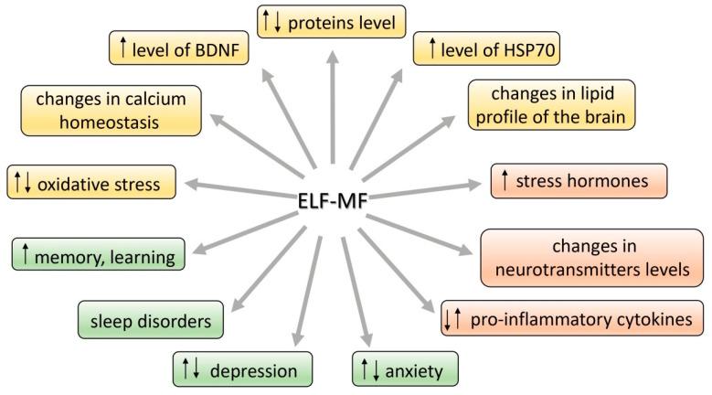https://cdn.ncbi.nlm.nih.gov/pmc/blobs/d1bc/7912337/a6dbadfab472/brainsci-11-00174-g001.jpg