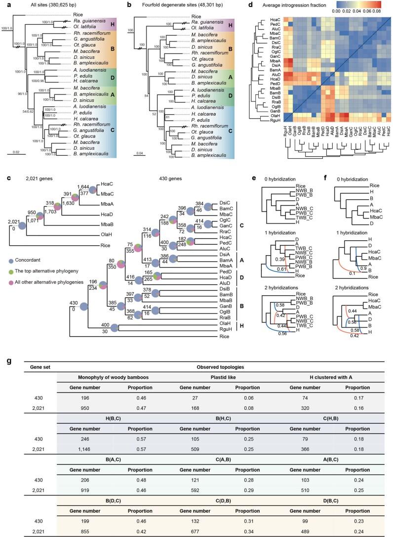 https://cdn.ncbi.nlm.nih.gov/pmc/blobs/d1bd/11018529/06d7e2b823a4/41588_2024_1683_Fig8_ESM.jpg