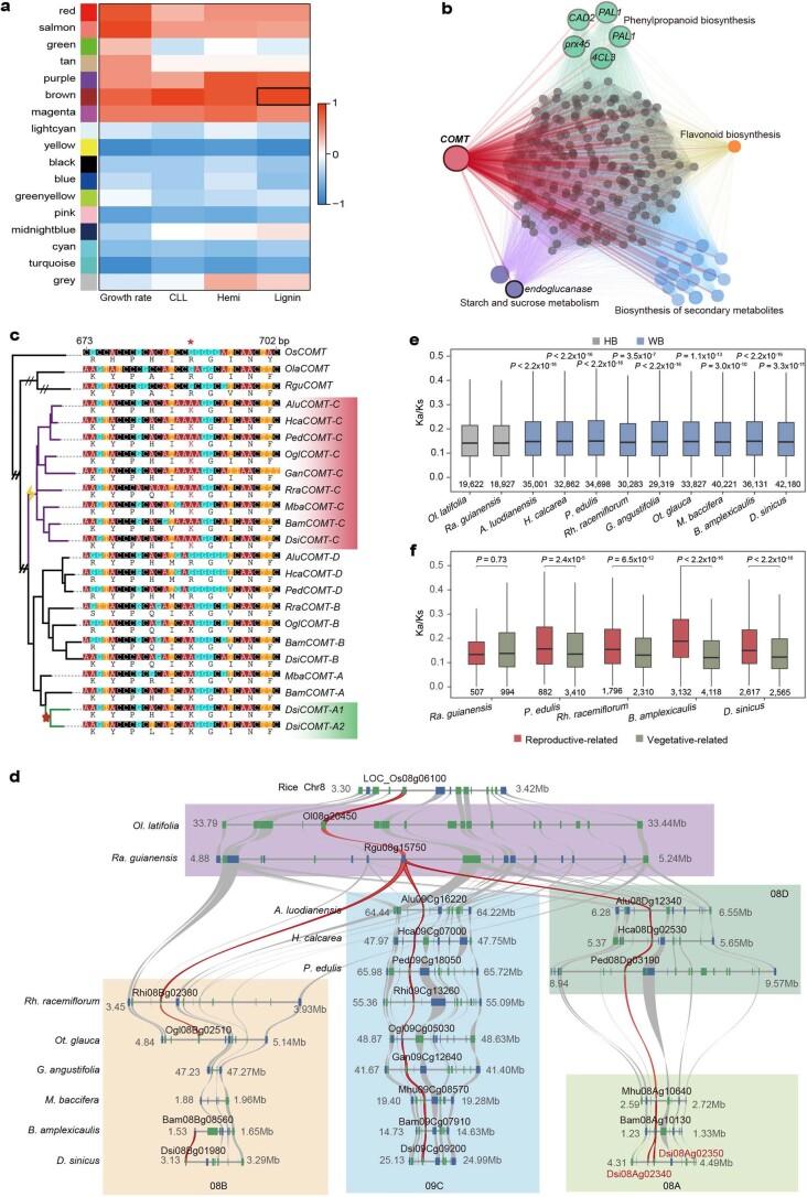 https://cdn.ncbi.nlm.nih.gov/pmc/blobs/d1bd/11018529/f8a4f018f1b3/41588_2024_1683_Fig14_ESM.jpg