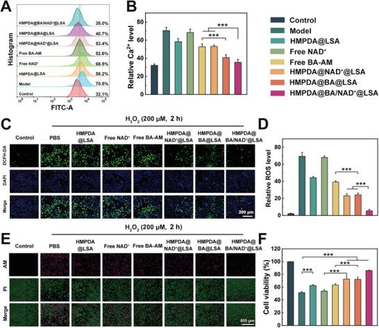 https://cdn.ncbi.nlm.nih.gov/pmc/blobs/d1c0/10190643/ae27c88ab317/ADVS-10-2207448-g007.jpg