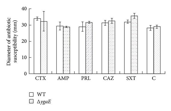 https://cdn.ncbi.nlm.nih.gov/pmc/blobs/d1c0/3921978/0939e854a50a/TSWJ2014-374276.004.jpg
