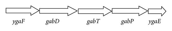https://cdn.ncbi.nlm.nih.gov/pmc/blobs/d1c0/3921978/a7a70159b678/TSWJ2014-374276.001.jpg
