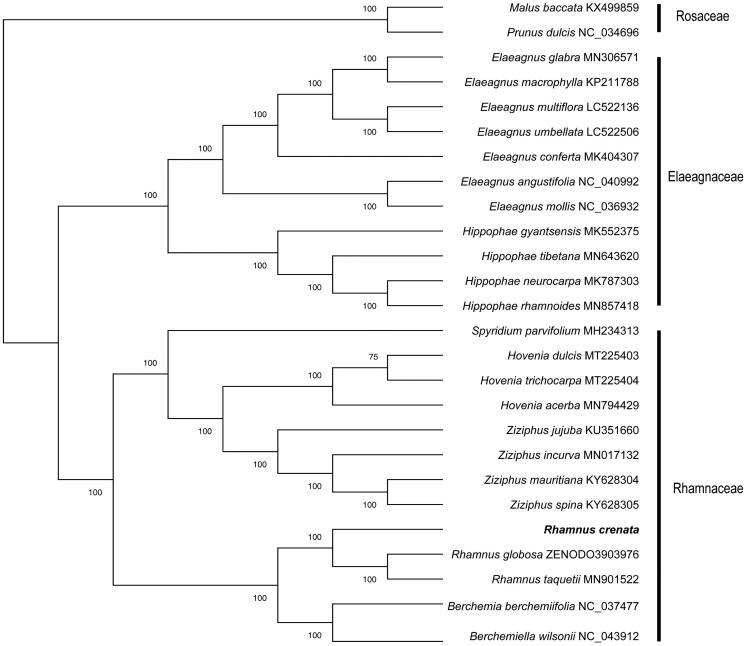 https://cdn.ncbi.nlm.nih.gov/pmc/blobs/d1c1/8317963/c683fce88562/TMDN_A_1945502_F0001_B.jpg