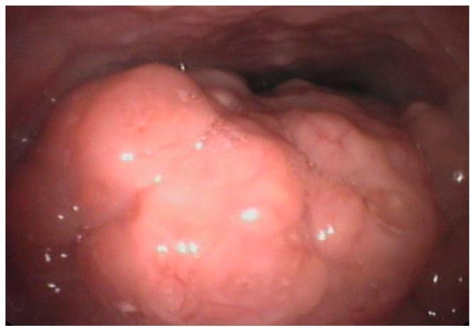 https://cdn.ncbi.nlm.nih.gov/pmc/blobs/d1c5/6765844/c28e6bff86d9/ijerph-16-03235-g002.jpg
