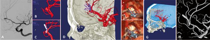 https://cdn.ncbi.nlm.nih.gov/pmc/blobs/d1c8/9349090/582a3f636227/10143_2022_1794_Fig3_HTML.jpg