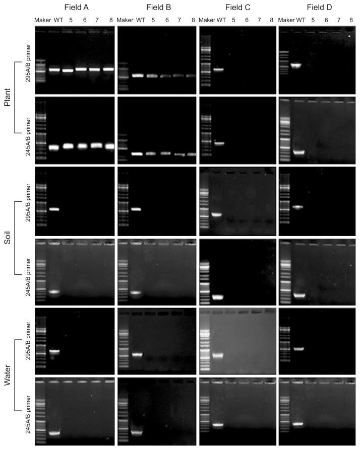https://cdn.ncbi.nlm.nih.gov/pmc/blobs/d1ca/4968639/41f76177183c/ppj-32-290f3.jpg