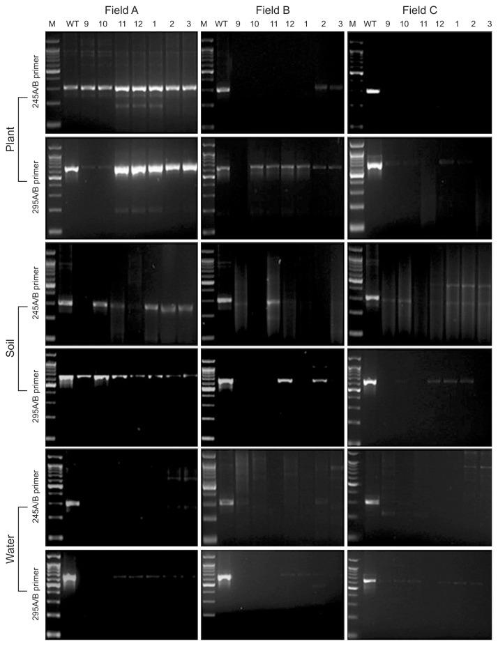 https://cdn.ncbi.nlm.nih.gov/pmc/blobs/d1ca/4968639/e7cc4d9be0d4/ppj-32-290f4.jpg