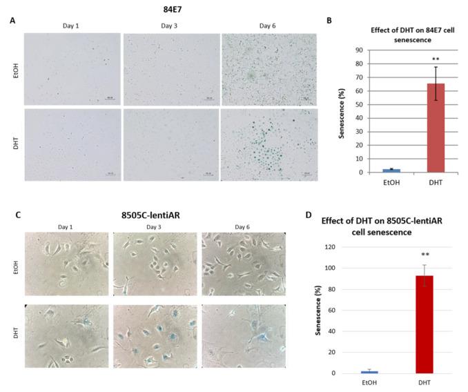 https://cdn.ncbi.nlm.nih.gov/pmc/blobs/d1ce/10137266/25611187838c/cancers-15-02198-g004a.jpg