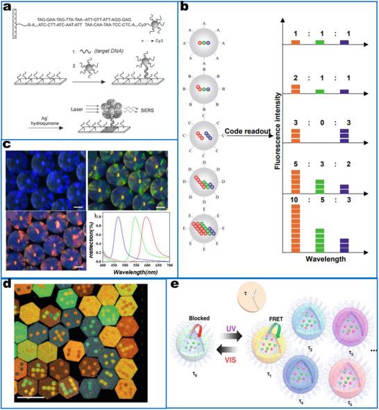 https://cdn.ncbi.nlm.nih.gov/pmc/blobs/d1d2/12232259/280d55cffffe/SMLL-21-2412271-g002.jpg