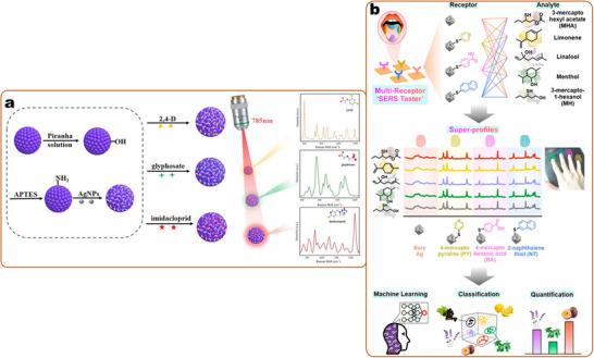 https://cdn.ncbi.nlm.nih.gov/pmc/blobs/d1d2/12232259/9655d05fa771/SMLL-21-2412271-g003.jpg