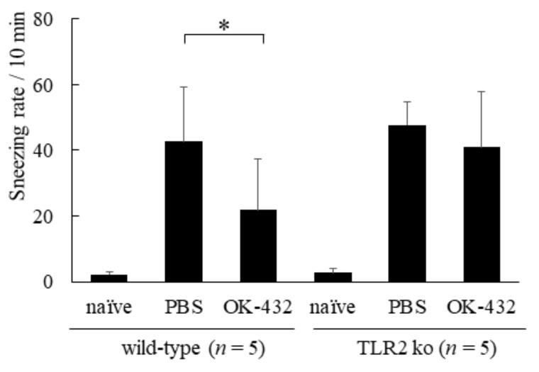 https://cdn.ncbi.nlm.nih.gov/pmc/blobs/d1d4/6313634/3d3cd1726895/medsci-06-00107-g010.jpg