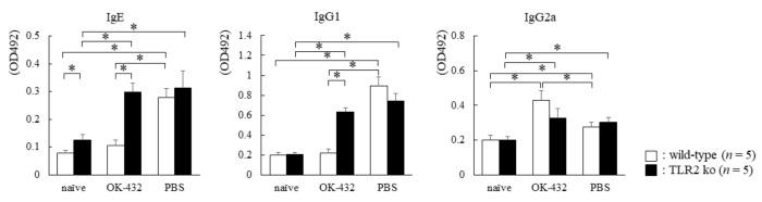 https://cdn.ncbi.nlm.nih.gov/pmc/blobs/d1d4/6313634/c84ae7fe6805/medsci-06-00107-g008.jpg