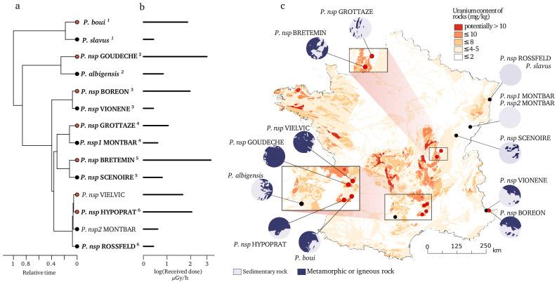 https://cdn.ncbi.nlm.nih.gov/pmc/blobs/d1d4/7723406/b3659e285010/elife-56830-fig1.jpg
