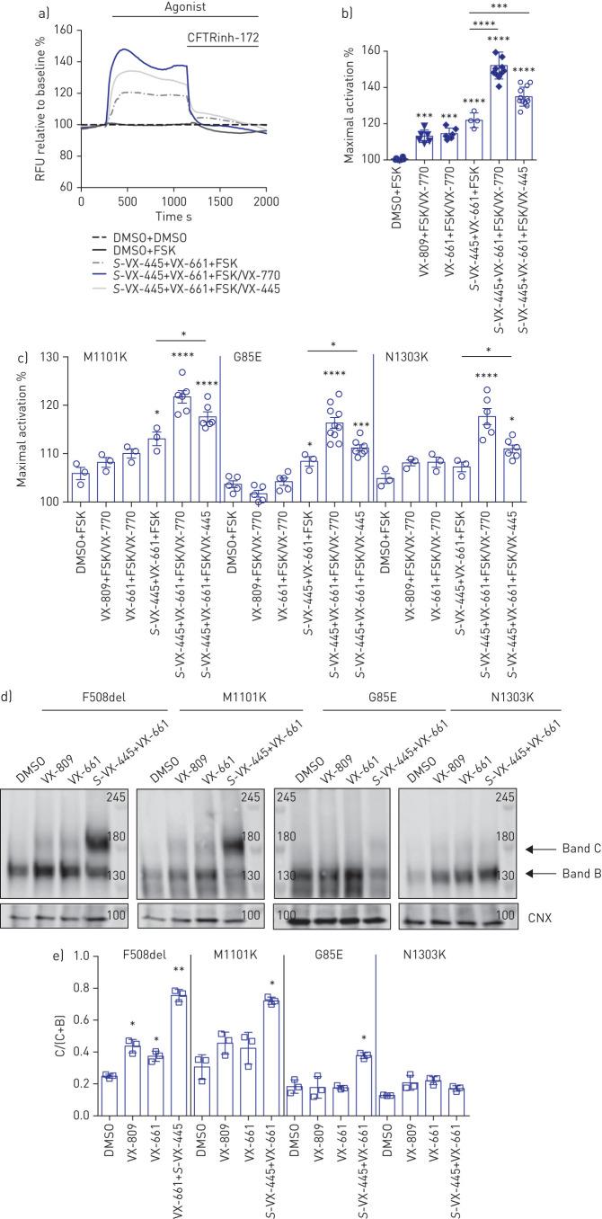 https://cdn.ncbi.nlm.nih.gov/pmc/blobs/d1d5/8209484/7b12d94b739e/ERJ-02774-2020.05.jpg