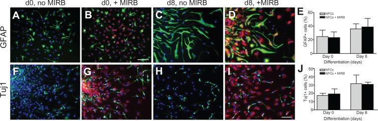 https://cdn.ncbi.nlm.nih.gov/pmc/blobs/d1d8/3849141/2669842b7fde/ijn-8-4593Fig3.jpg