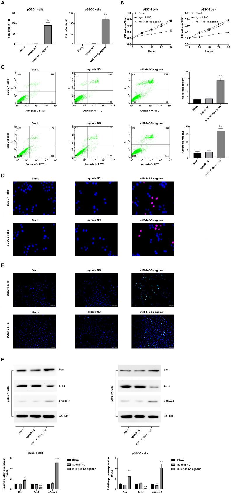https://cdn.ncbi.nlm.nih.gov/pmc/blobs/d1d8/8965115/96d4bc7ce6a1/jcav13p1490g002.jpg