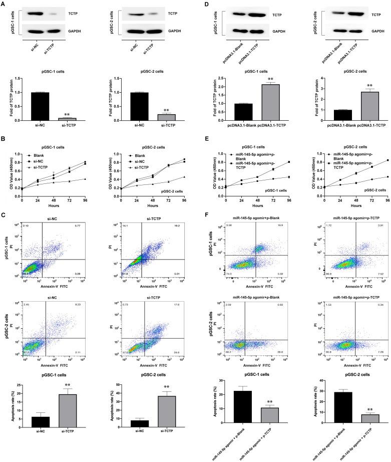 https://cdn.ncbi.nlm.nih.gov/pmc/blobs/d1d8/8965115/f38169087075/jcav13p1490g004.jpg