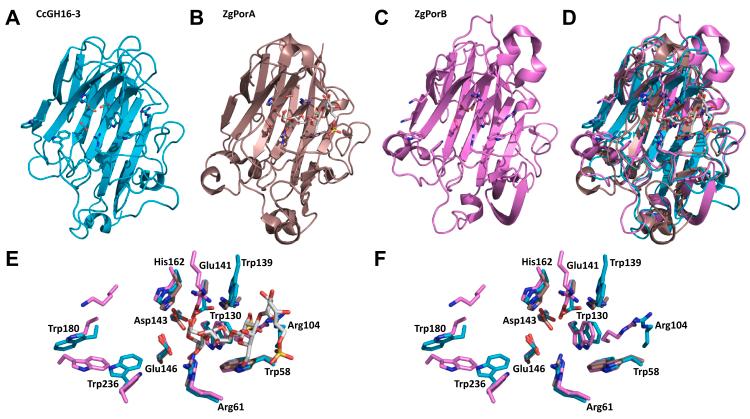https://cdn.ncbi.nlm.nih.gov/pmc/blobs/d1d9/9771727/14d2bf641053/gr6.jpg