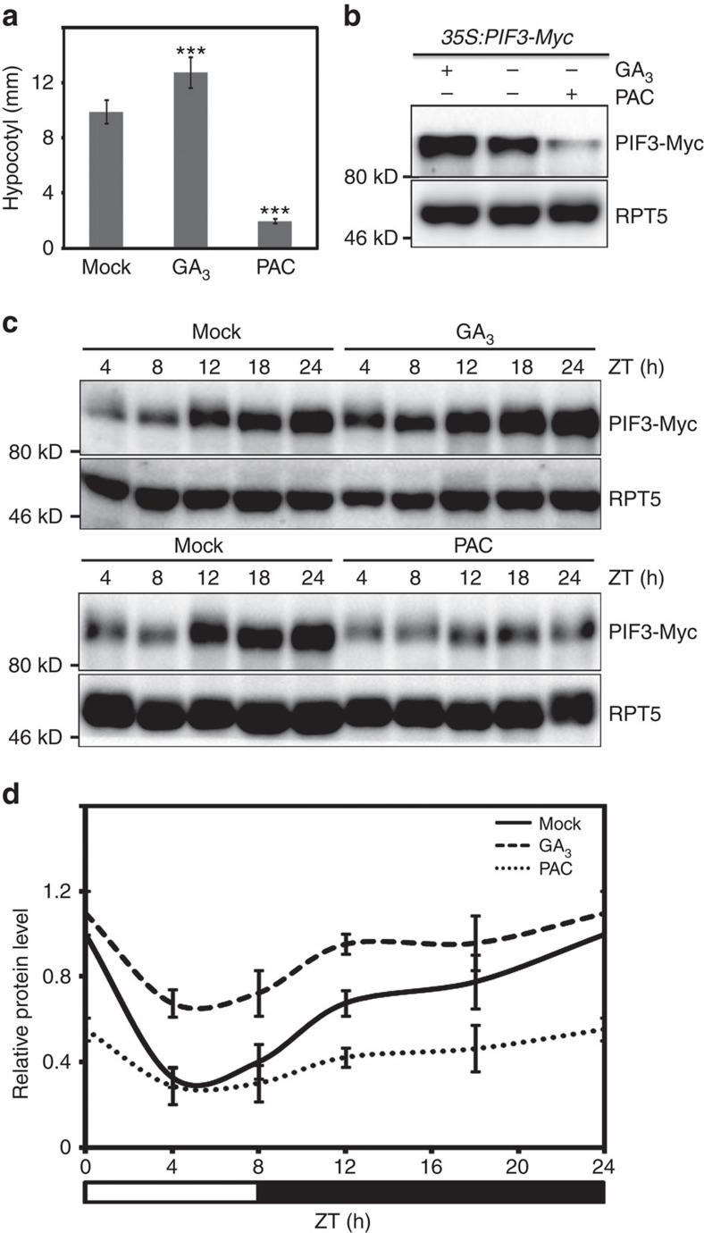 https://cdn.ncbi.nlm.nih.gov/pmc/blobs/d1dd/4906400/af9801aa0e5a/ncomms11868-f4.jpg