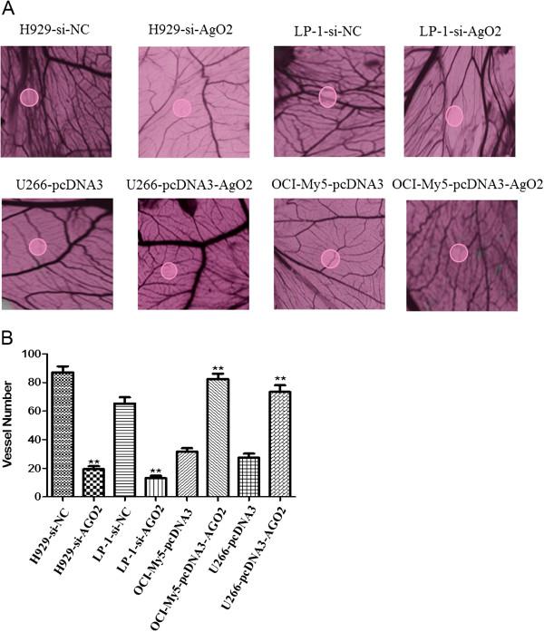 https://cdn.ncbi.nlm.nih.gov/pmc/blobs/d1e3/4108130/1f32603e93be/1756-8722-7-40-3.jpg
