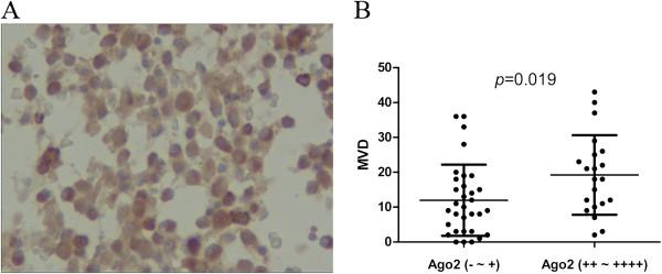 https://cdn.ncbi.nlm.nih.gov/pmc/blobs/d1e3/4108130/3f855143847f/1756-8722-7-40-1.jpg
