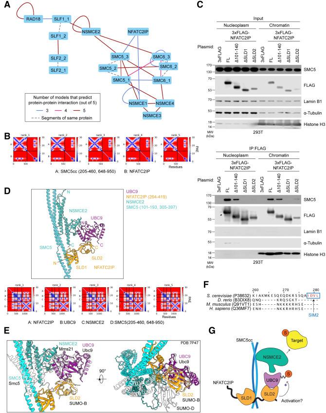 https://cdn.ncbi.nlm.nih.gov/pmc/blobs/d1e4/11065178/be4255b495dd/233f06.jpg