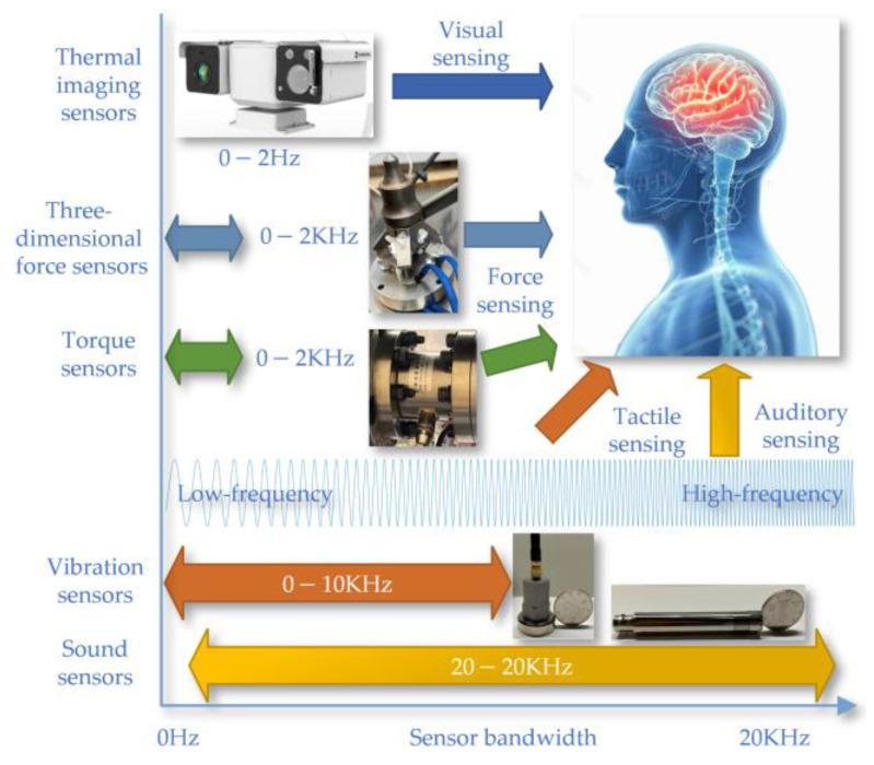 https://cdn.ncbi.nlm.nih.gov/pmc/blobs/d1e7/11124836/81fec8bd6934/sensors-24-03194-g007.jpg