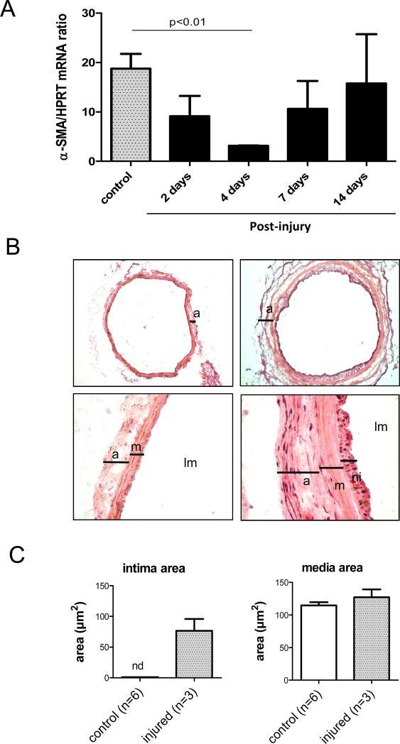 https://cdn.ncbi.nlm.nih.gov/pmc/blobs/d1e7/3706517/c25e97c99737/nihms-442952-f0002.jpg