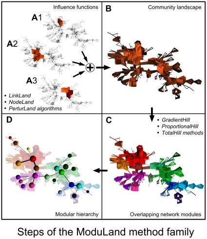 https://cdn.ncbi.nlm.nih.gov/pmc/blobs/d1e8/2932713/30986f81107c/pone.0012528.g001.jpg