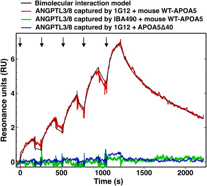 https://cdn.ncbi.nlm.nih.gov/pmc/blobs/d1e9/11299584/bc38b041448c/gr6.jpg