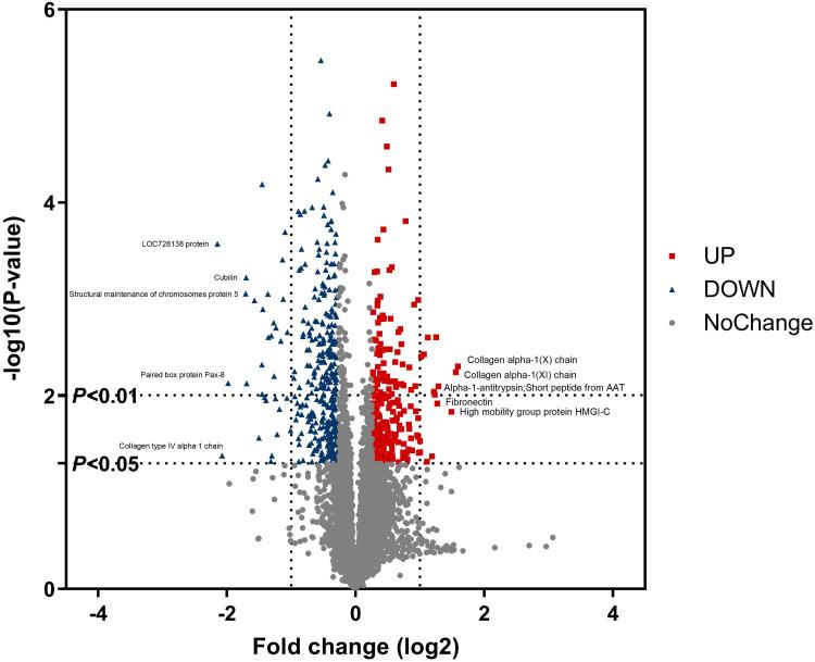 https://cdn.ncbi.nlm.nih.gov/pmc/blobs/d1e9/11542476/053904ca1ab0/OTT-17-905-g0004.jpg