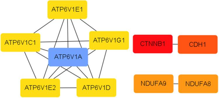 https://cdn.ncbi.nlm.nih.gov/pmc/blobs/d1e9/11542476/392f27769f20/OTT-17-905-g0010.jpg
