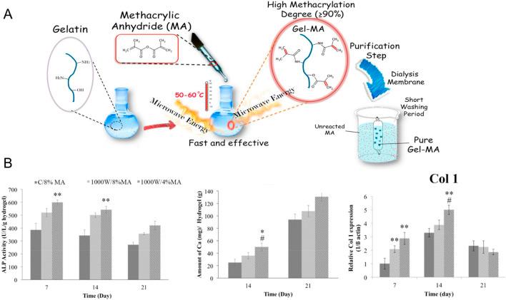 https://cdn.ncbi.nlm.nih.gov/pmc/blobs/d1eb/12177472/19aae015a30d/fbioe-13-1506122-g001.jpg