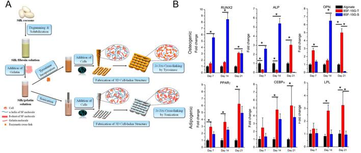 https://cdn.ncbi.nlm.nih.gov/pmc/blobs/d1eb/12177472/d0f31d3d14b9/fbioe-13-1506122-g005.jpg