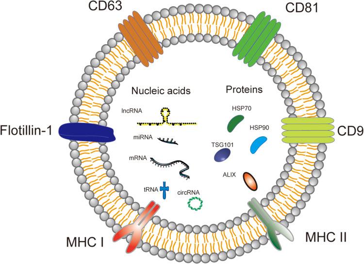 https://cdn.ncbi.nlm.nih.gov/pmc/blobs/d1eb/7457829/ec6ce97b3c69/IJN-15-6485-g0002.jpg