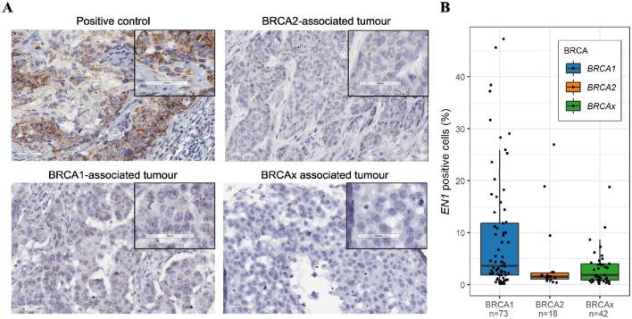 https://cdn.ncbi.nlm.nih.gov/pmc/blobs/d1ec/8357684/25190a8dfbc0/10549_2021_6328_Fig3_HTML.jpg