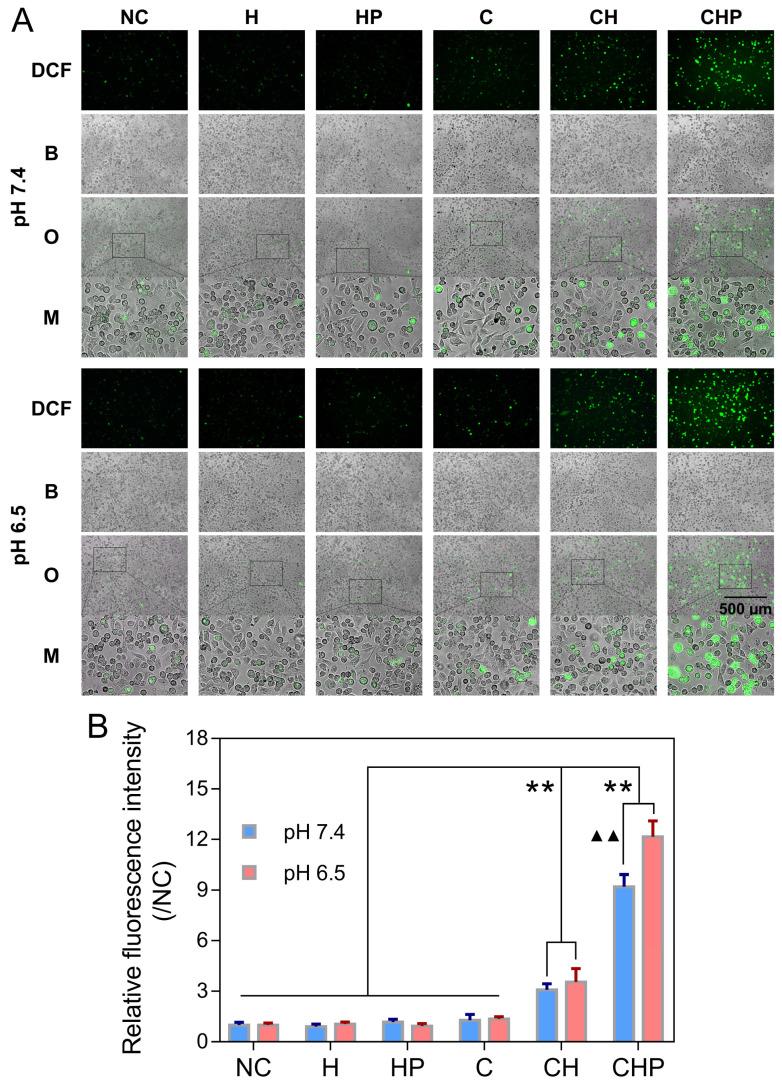 https://cdn.ncbi.nlm.nih.gov/pmc/blobs/d1ed/7449903/0bfaa396814e/thnov10p9808g007.jpg