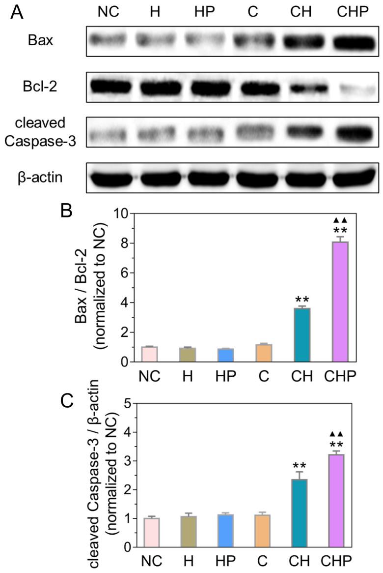 https://cdn.ncbi.nlm.nih.gov/pmc/blobs/d1ed/7449903/144258227304/thnov10p9808g009.jpg