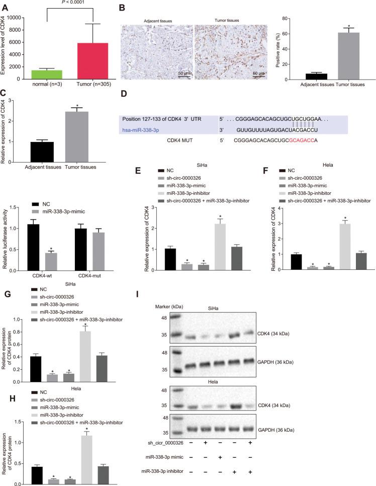 https://cdn.ncbi.nlm.nih.gov/pmc/blobs/d1ed/8034888/86c1921c1322/aging-13-103711-g005.jpg