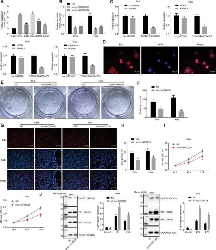 https://cdn.ncbi.nlm.nih.gov/pmc/blobs/d1ed/8034888/9684e14ecd86/aging-13-103711-g002.jpg